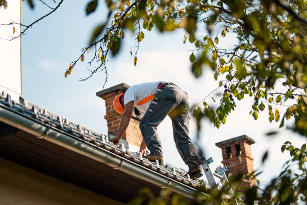 Best Roof Moss and Algae Removal  in Weirton, WV